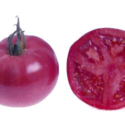 Tomato Fuji Pink 10 seeds