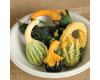Gourds. Autumn Wings Mixture 10 seeds
