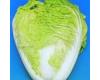 Chinese Cabbage Questar 150 seeds
