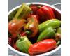 Peppers Sweet Candy Cane Red  10 seeds