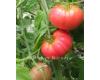 Tomato Mortgage Lifter Beefsteak 10 seeds