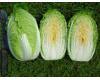 Chinese Cabbage Yuki 125 seeds