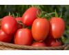 Tomato Nagina Blight Resistant 10 seeds