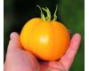 Tomato Orange Queen 30 seeds
