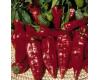 Peppers Sweet Rubens Lungo Rosso 30 seeds