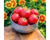 Tomato Crimson Crush F1 Blight Resistant 10 seeds