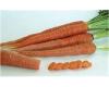 Carrot Atomic Red 500 seeds