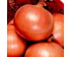 Onion Toughball 200 seeds