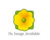Wildflower Wild Basil - Clinopodium vulgare 500 seeds