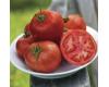 Tomato Fordhook Early 10 seeds